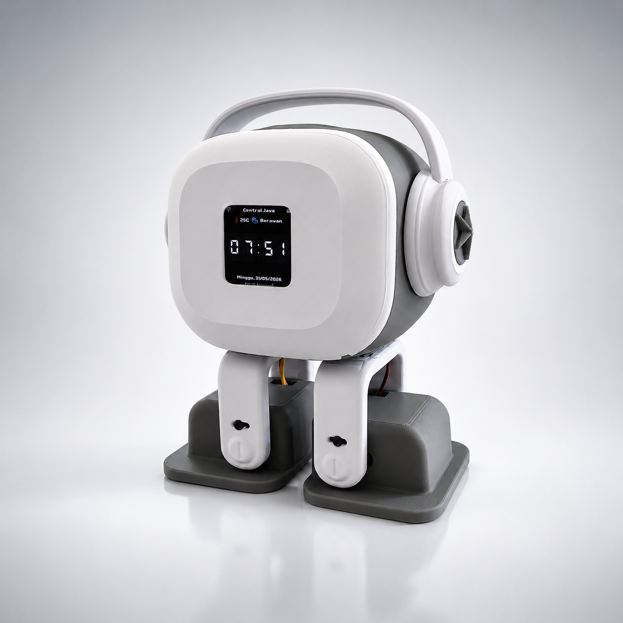 Rubell AI Robot